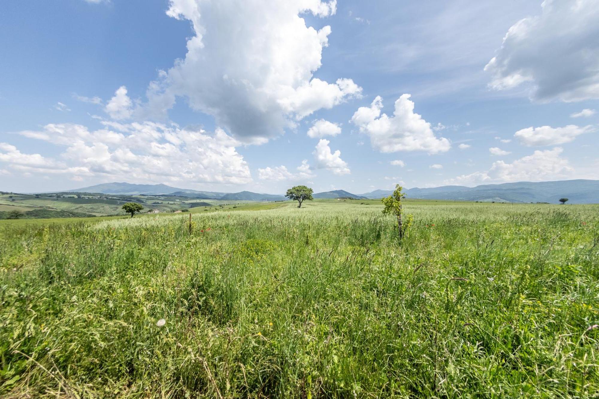 Dimora Schioppo - Irpinia